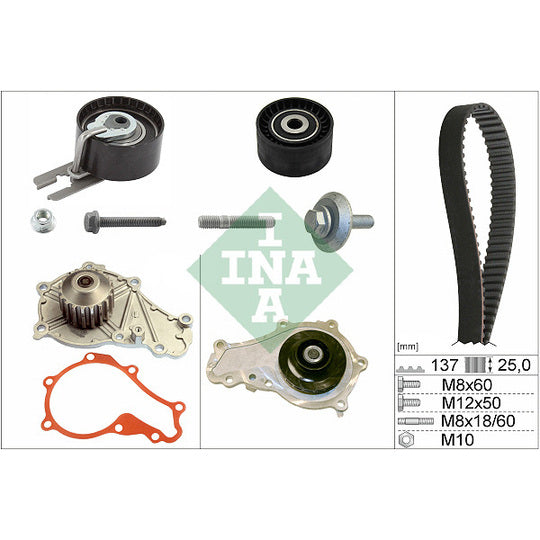 Ina Water Pump & Timing Belt Set to suit Ford, BMW, Peugeot