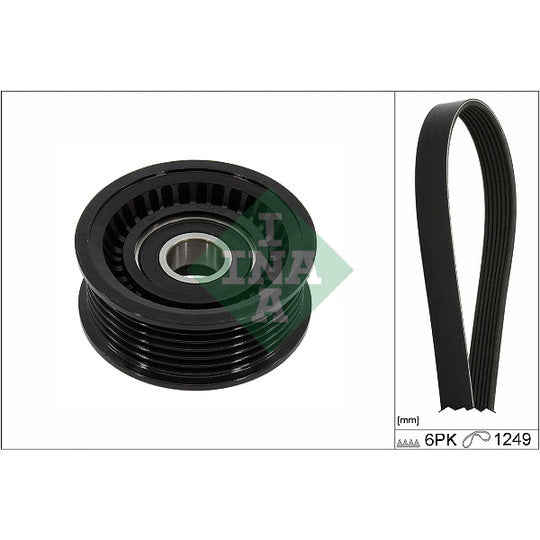 Ina V-Ribbed Belt Set to suit Ford, Volvo