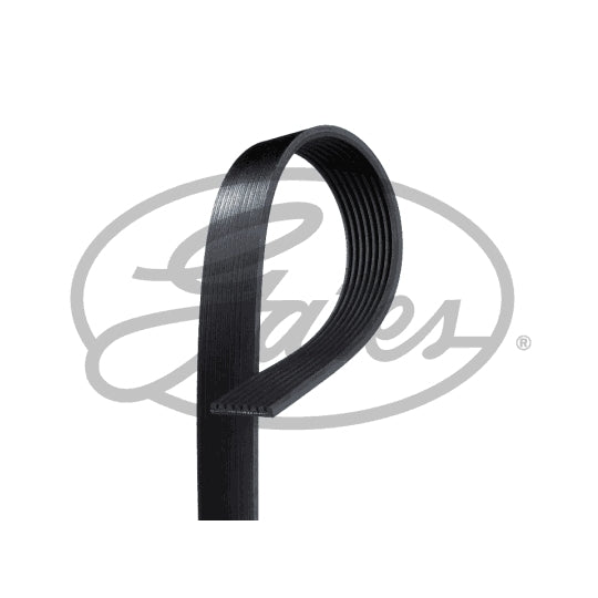 Gates V-Ribbed Belt to suit Ford, Mercedes-Benz, Iveco