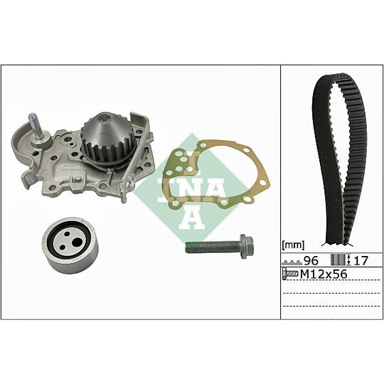 Ina Water Pump & Timing Belt Set to suit Nissan, Renault