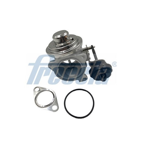 Freccia EGR Valve to suit Audi, VW