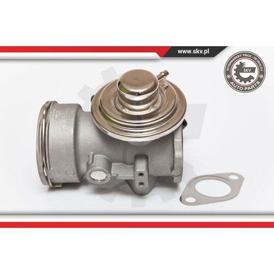 Esen Skv EGR Valve to suit VW, Hitachi, Seat