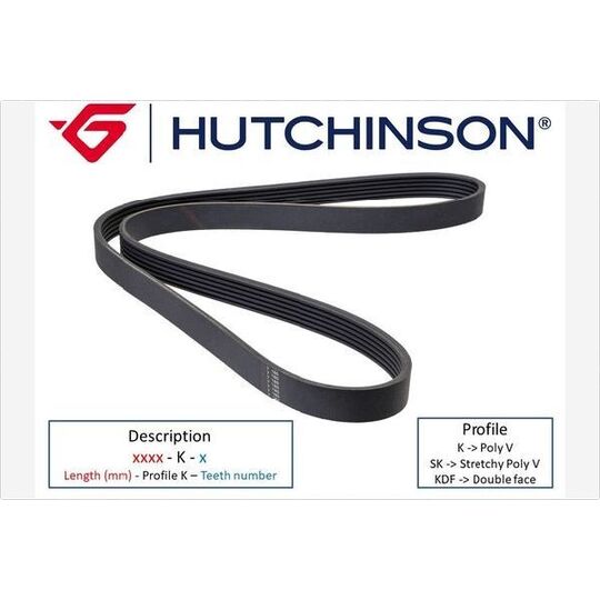 Hutchinson V-Ribbed Belt to suit Hyundai, Kia, Fiat