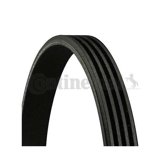 Continental Ctam V-Ribbed Belt to suit Toyota, Mazda, Honda