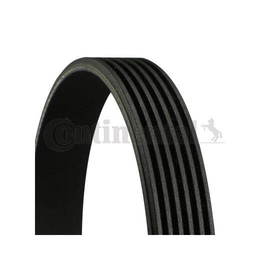 Continental Ctam V-Ribbed Belt to suit Mitsubishi, Nissan, Peugeot