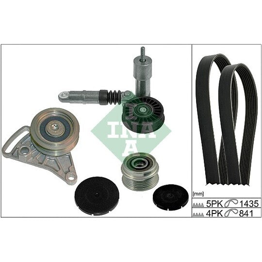 Ina V-Ribbed Belt Set to suit Audi, VW, Seat