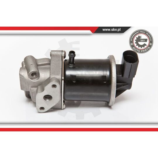 Esen Skv EGR Valve to suit Audi, VW, Seat