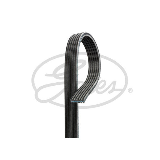 Gates V-Ribbed Belt to suit Ford, Audi, VW