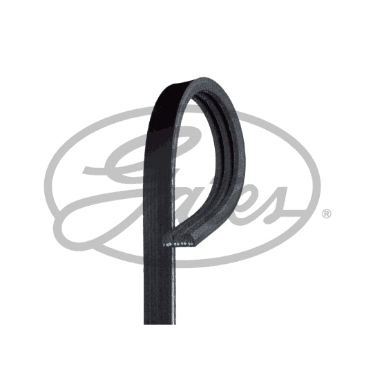 Gates V-Ribbed Belt to suit Toyota, Nissan, Great Wall