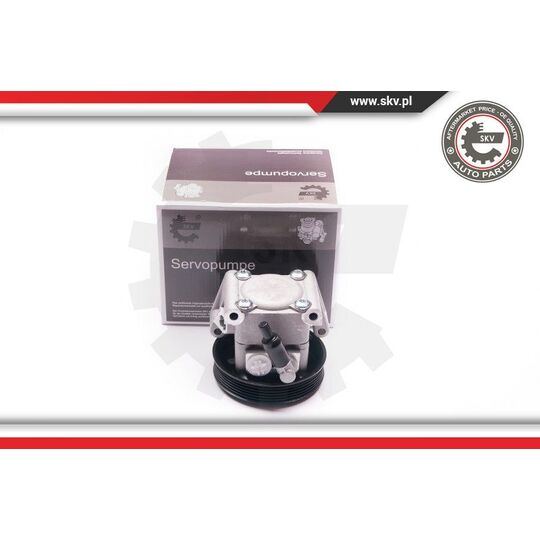 Esen Skv Hydraulic Pump, steering system to suit Ford
