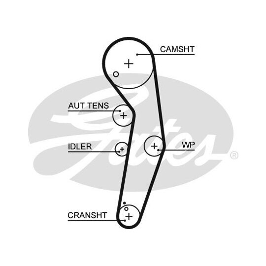 Gates Timing Belt to suit Ford, Audi, VW