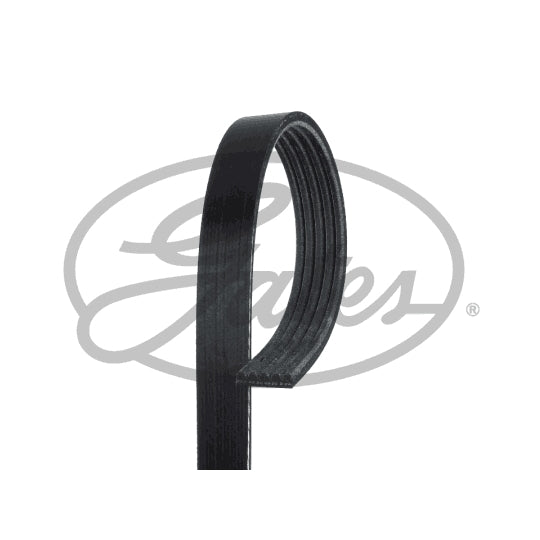 Gates V-Ribbed Belt to suit Ford