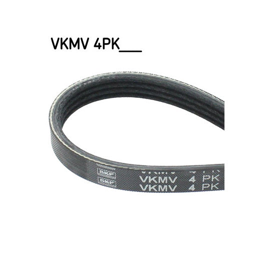 Skf V-Ribbed Belt to suit Hyundai, Kia, Fiat