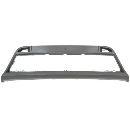 Blic Ventilation Grille, bumper to suit Ford
