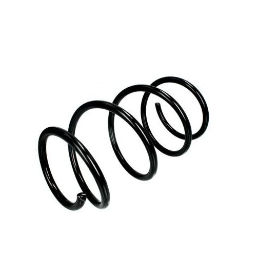 Magnum Technology Coil Spring to suit BMW