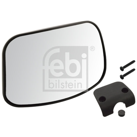 Febi Bilstein 101035 Front Mirror, driver cab to suit Daf