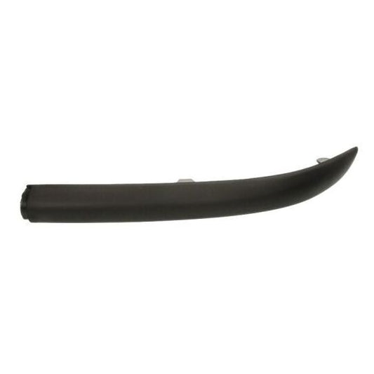 Blic Trim/Protective Strip, bumper to suit Ford