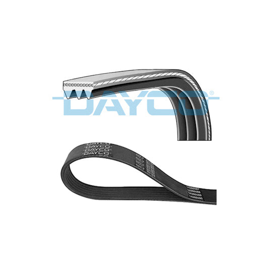 Dayco V-Ribbed Belt to suit Toyota, Ford, Mazda