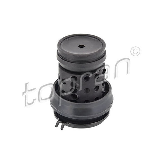 Topran Engine Mounting to suit VW, Seat