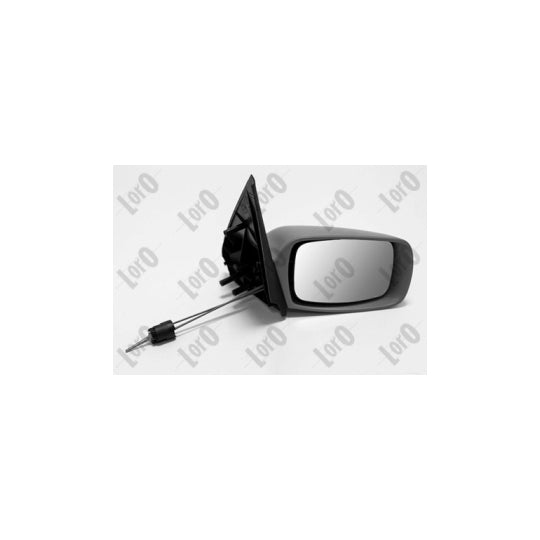 Depo 1211M03 Outside Mirror to suit Ford