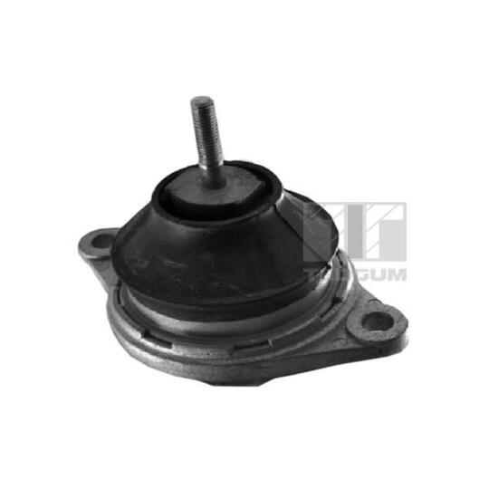 Tedgum Engine Mounting to suit Audi, VW