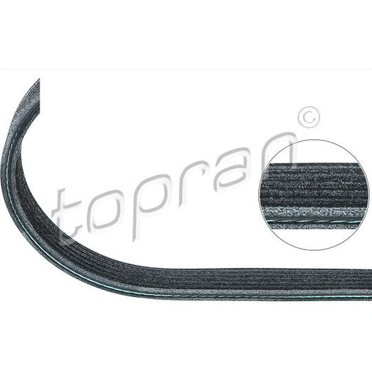 Topran V-Ribbed Belt to suit Ford, Audi, VW