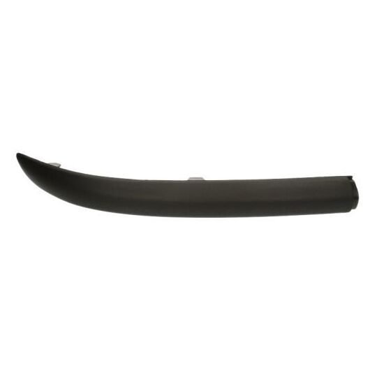 Blic Trim/Protective Strip, bumper to suit Ford