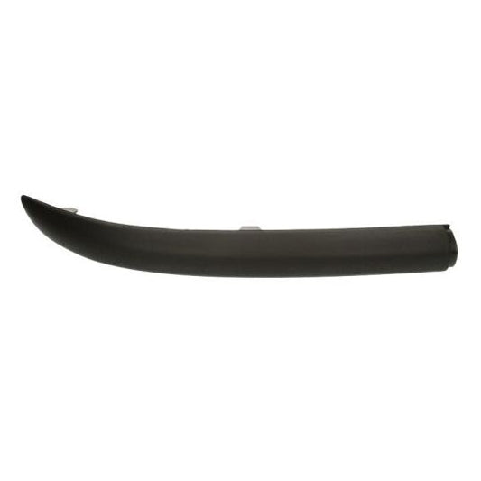 Blic Trim/Protective Strip, bumper to suit Ford