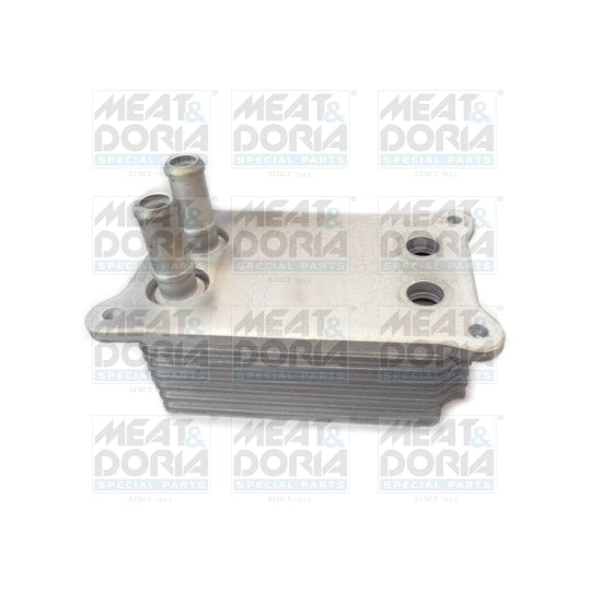 Metzger Housing, oil filter to suit Ford