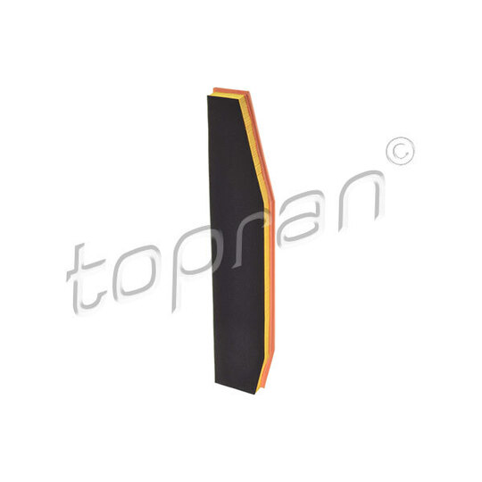 Topran Air filter to suit BMW