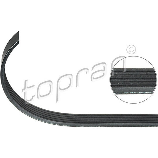 Topran V-Ribbed Belt to suit Ford, Mercedes-Benz, Opel