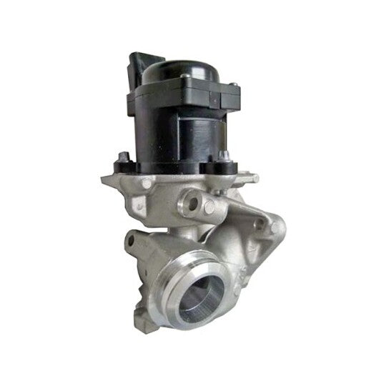 Continental/Vdo EGR Valve to suit Peugeot, Citroën, Fiat