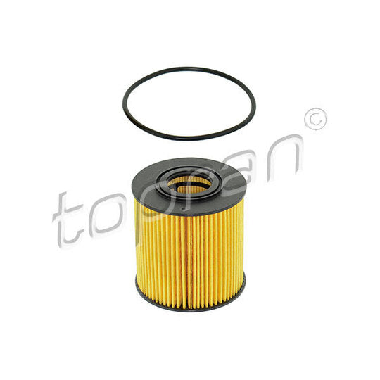 Topran Oil filter to suit Volvo