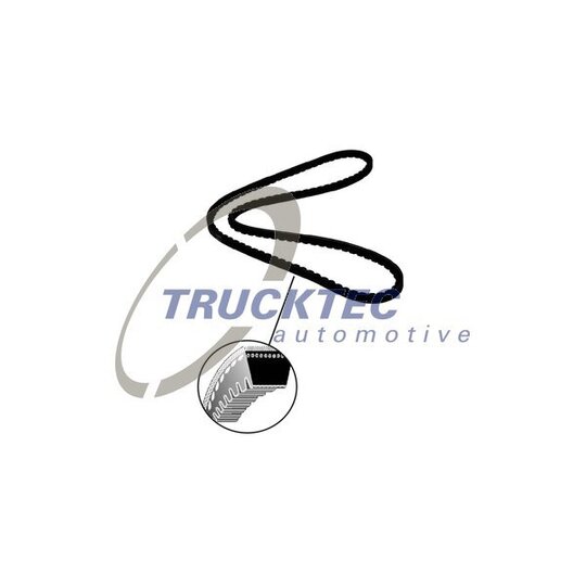 Trucktec Automotive V-Belt to suit Toyota, Ford, BMW