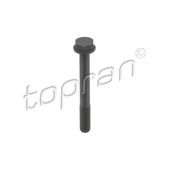 Topran Screw Set, gears (timing chain) to suit BMW