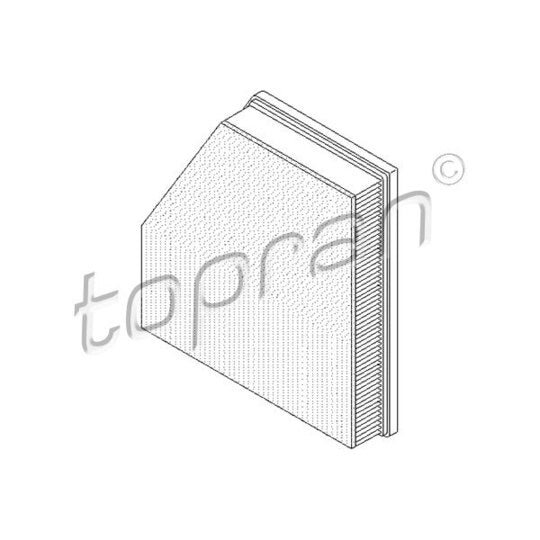 Topran Air filter to suit BMW