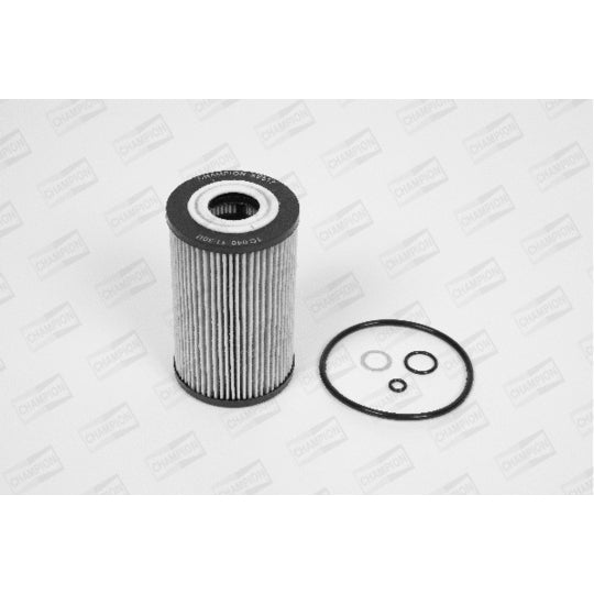Champion Oil filter to suit BMW
