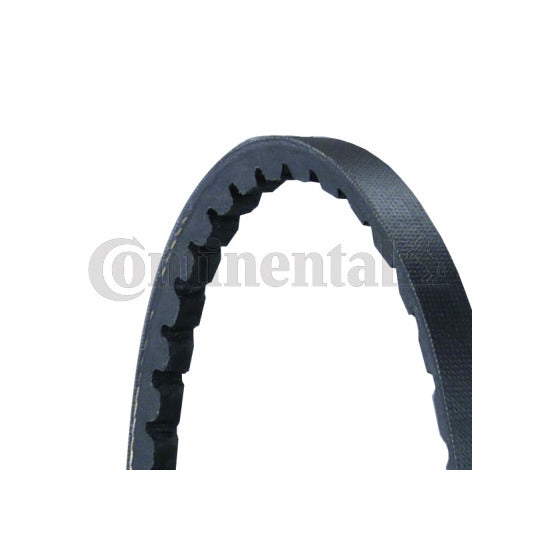 Continental Ctam V-belt to suit Ford, VW, Mercedes-Benz