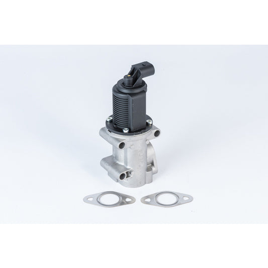 Borgwarner (Wahler) EGR Valve to suit Fiat, Hitachi, Alfa Romeo