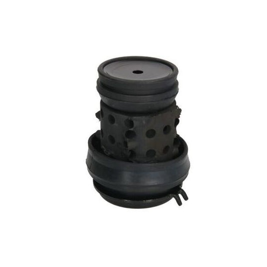 Reinhoch Engine Mounting to suit Audi, VW, Seat