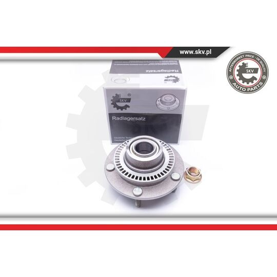 Esen Skv Wheel Bearing Kit to suit Ford