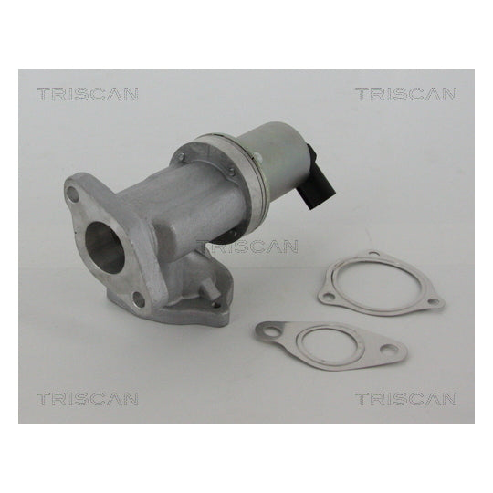 Triscan EGR Valve to suit Hyundai, Kia, Hitachi
