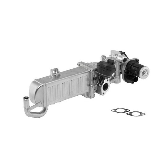 Borgwarner (Wahler) EGR Module to suit Audi, VW, Hitachi
