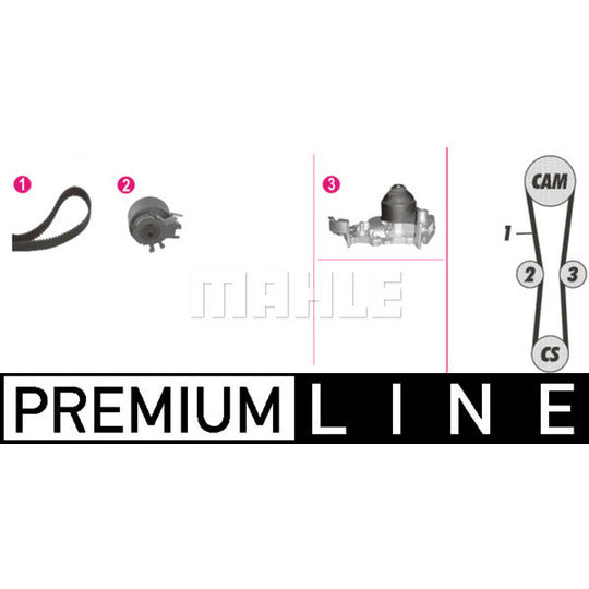 Mahle Water Pump & Timing Belt Set to suit Nissan, Renault