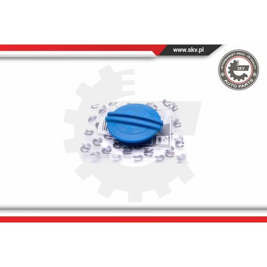 Esen Skv Cap, coolant tank to suit Audi, VW, Porsche