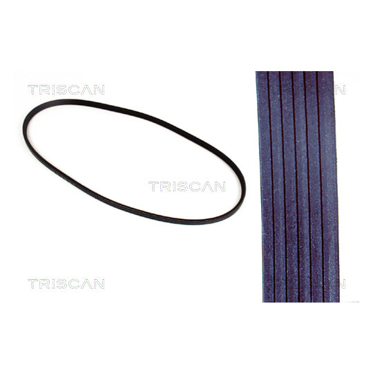 Triscan V-Ribbed Belt to suit Ford, BMW