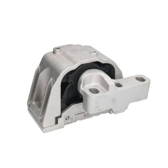 Reinhoch Engine Mounting to suit Audi, VW, Seat