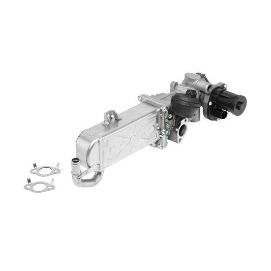 Borgwarner (Wahler) EGR Module to suit Audi, VW, Hitachi