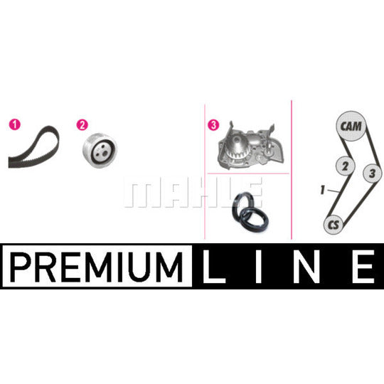 Mahle Water Pump & Timing Belt Set to suit Renault