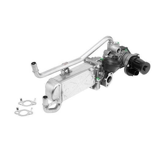 Borgwarner (Wahler) EGR Module to suit VW, Seat, Skoda